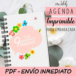 Kit Imprimible Agenda De Embarazo Diario Embarazada Control