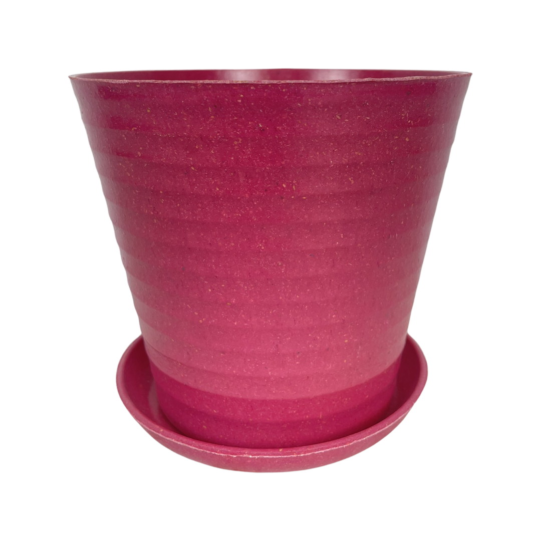 Macetero biodegradable 5 x 5 cm, pack 20 uni