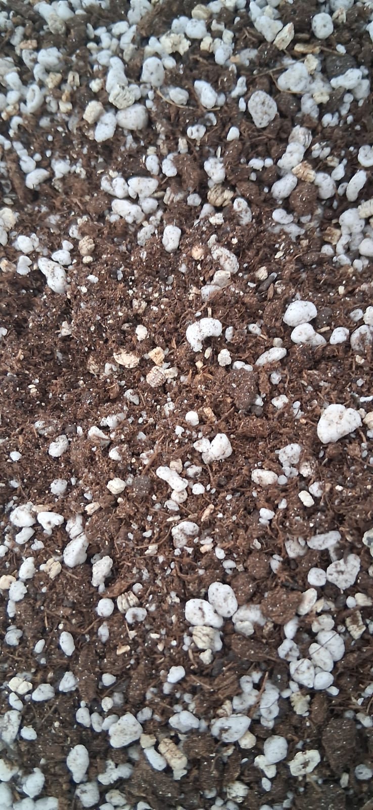 Plantimix