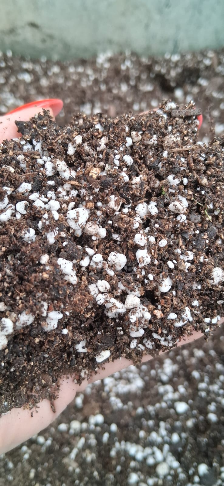 Compost con perlita