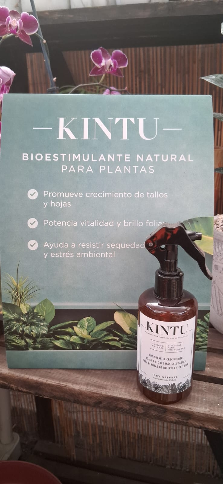 Bioestimulante Kintu