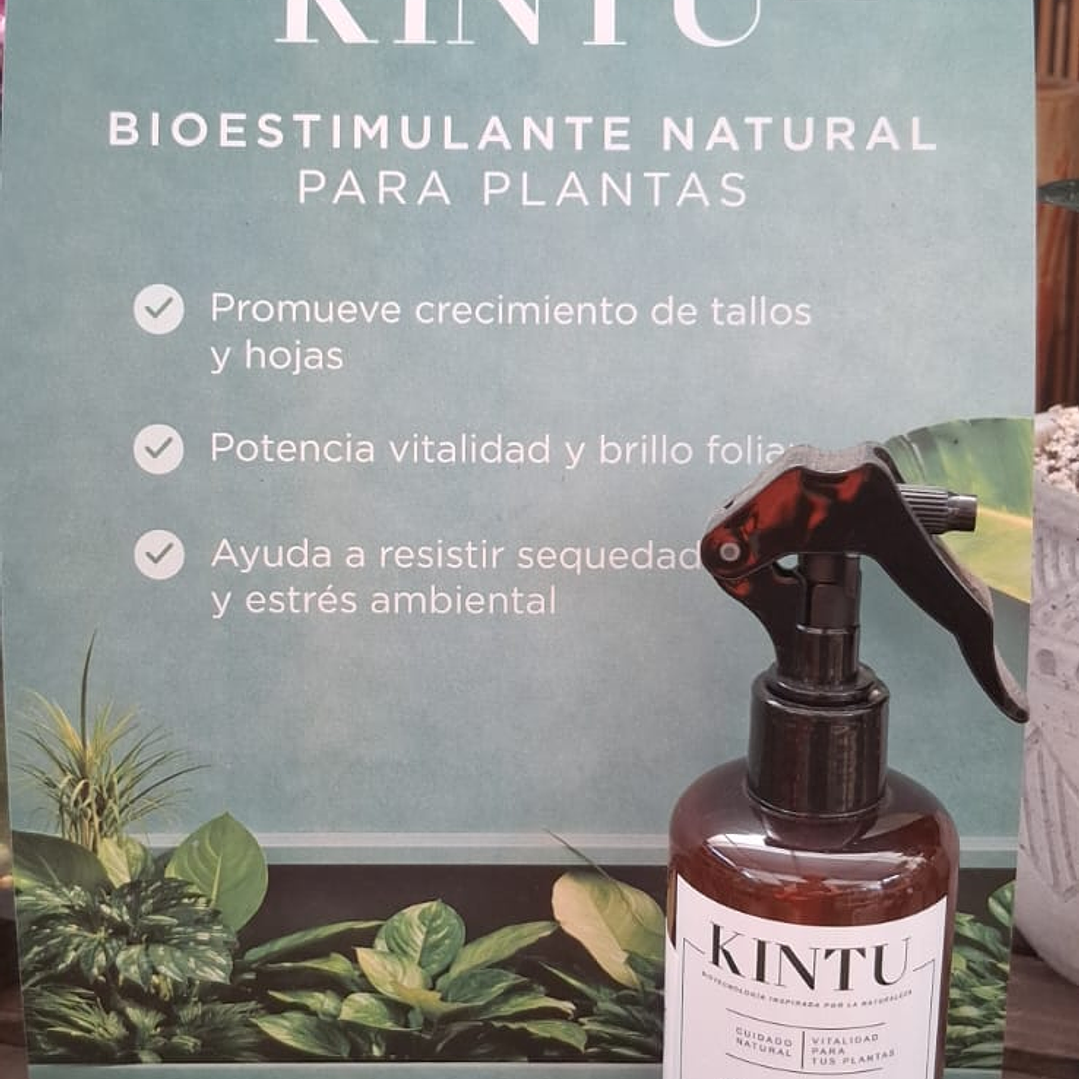 Bioestimulante Kintu 1