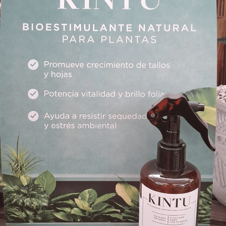 Bioestimulante Kintu 1