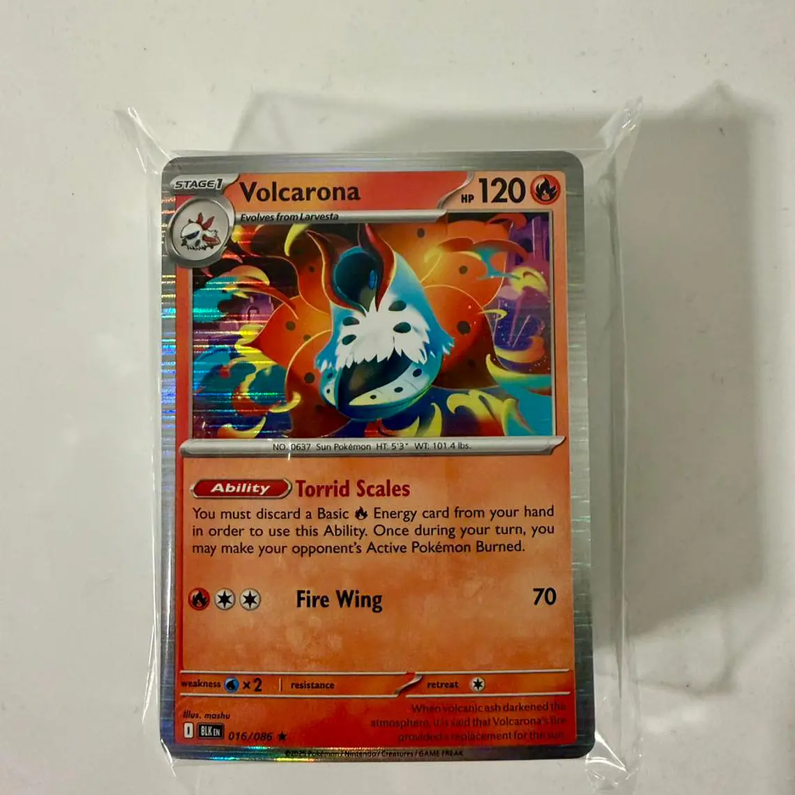 BLACK AND WHITE Lote 100 Cartas Pokémon 1