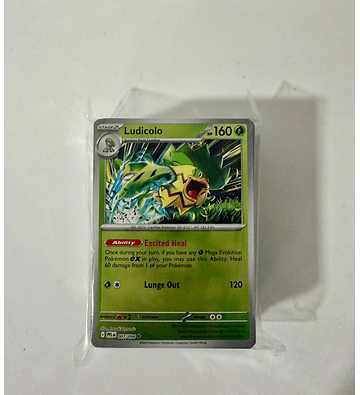 PHANTASMAL FLAMES Lote 100 Cartas Pokémon