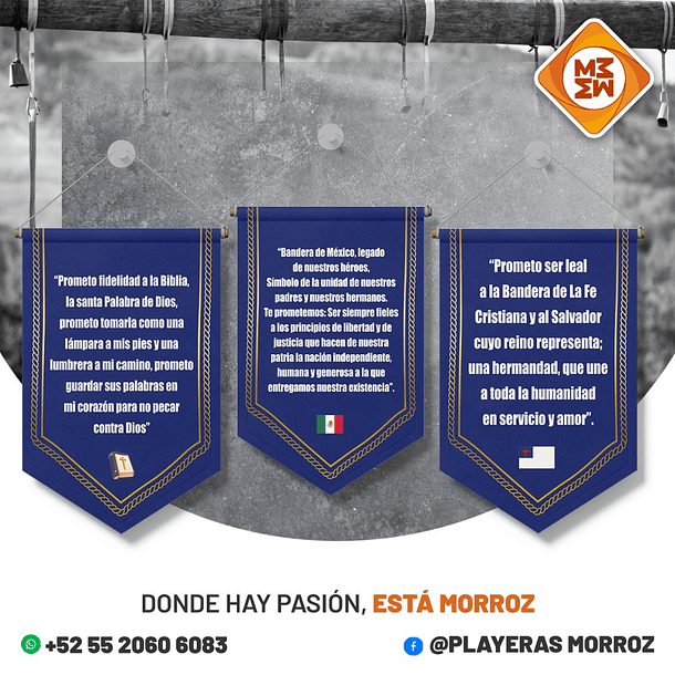 EMBLEMAS EBV COMPLETO 