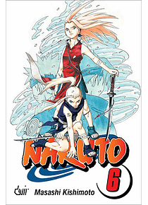 Naruto volume 6