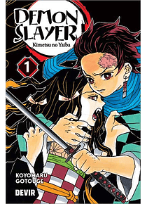 Demon Slayer volume 1