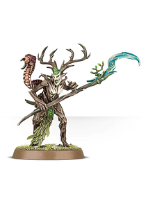 Sylvaneth - Branchwych