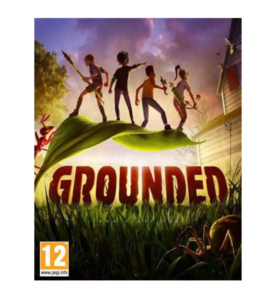 Grounded - Steam 1