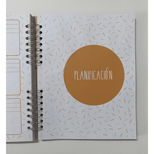 PLANNER PROFES NARANJA GRANDE