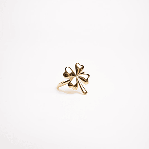 Anel Lucky (AD08802)