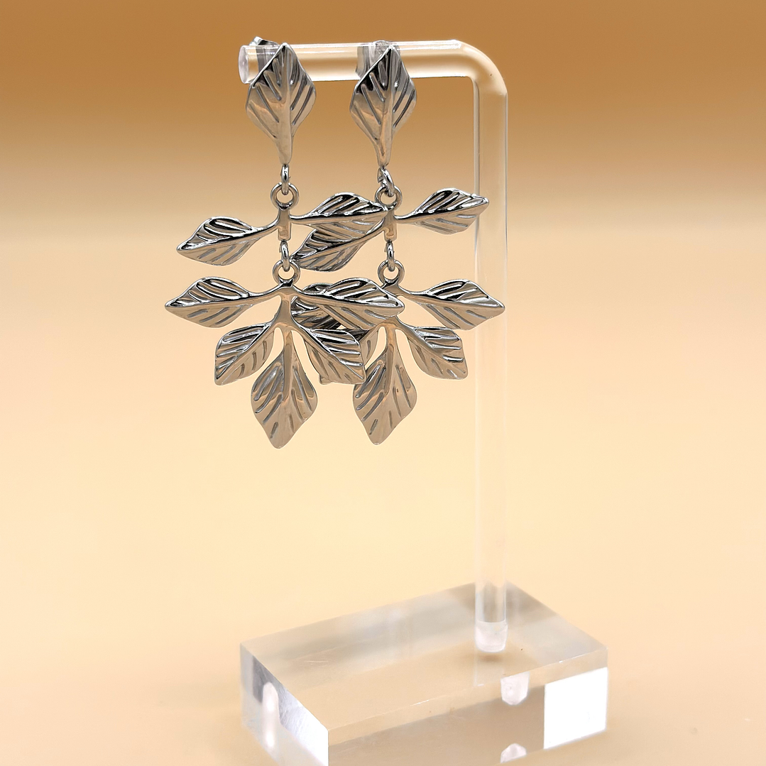 Brincos Prateados (BP11680) 2