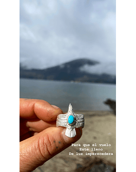 Aguila corazón de agua 