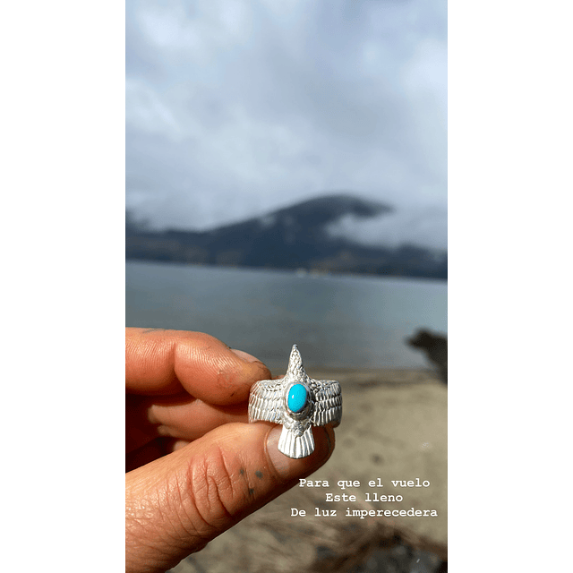 Aguila corazón de agua 