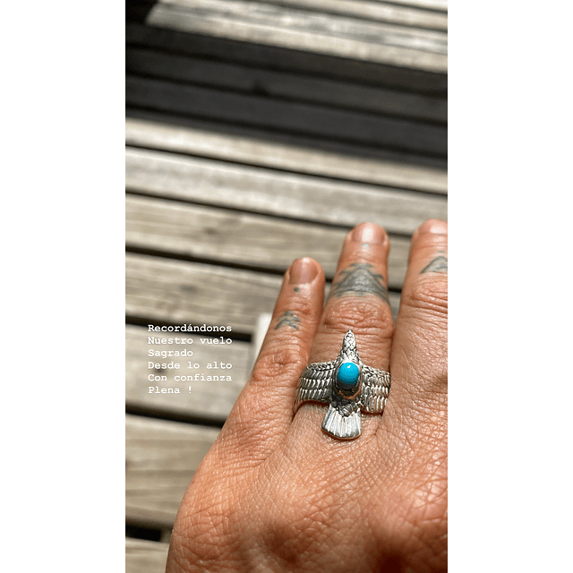 Aguila corazón de agua 