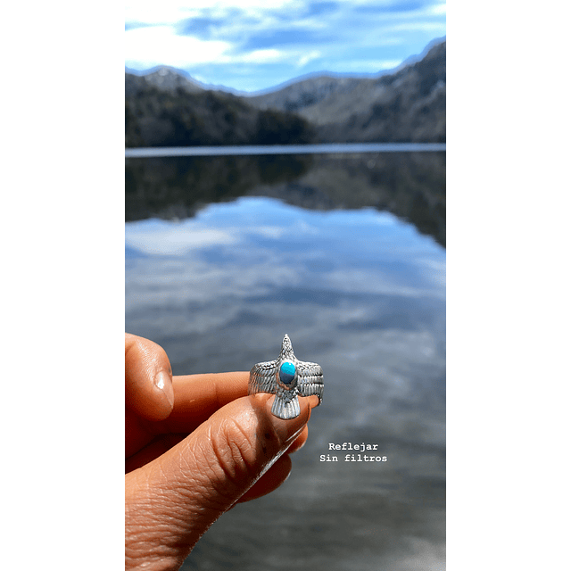 Aguila corazón de agua 