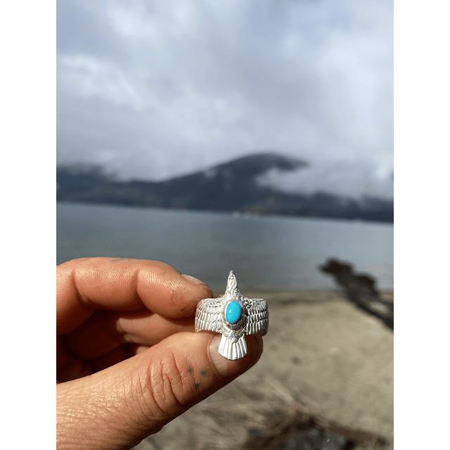 Aguila corazón de agua 