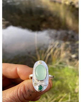 Anillo naturaleza 