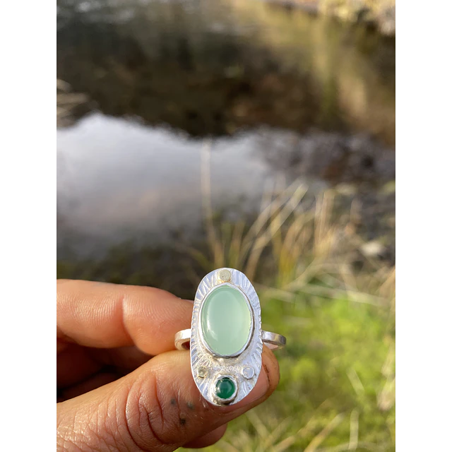 Anillo naturaleza 