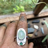 Anillo naturaleza 
