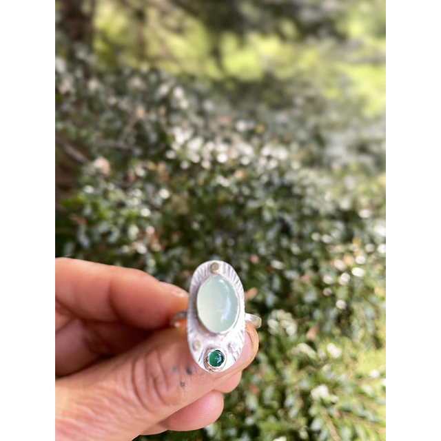 Anillo naturaleza 