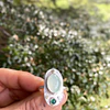 Anillo naturaleza 
