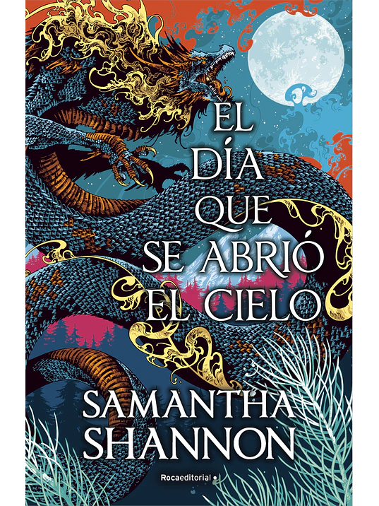 EL DIA QUE SE ABRIO EL CIELO - ROCA EDITORIAL 1