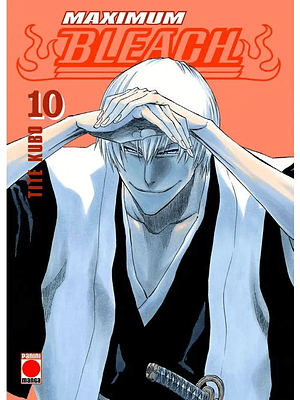 BLEACH MAXIMUM 10 - PANINI ESPANA