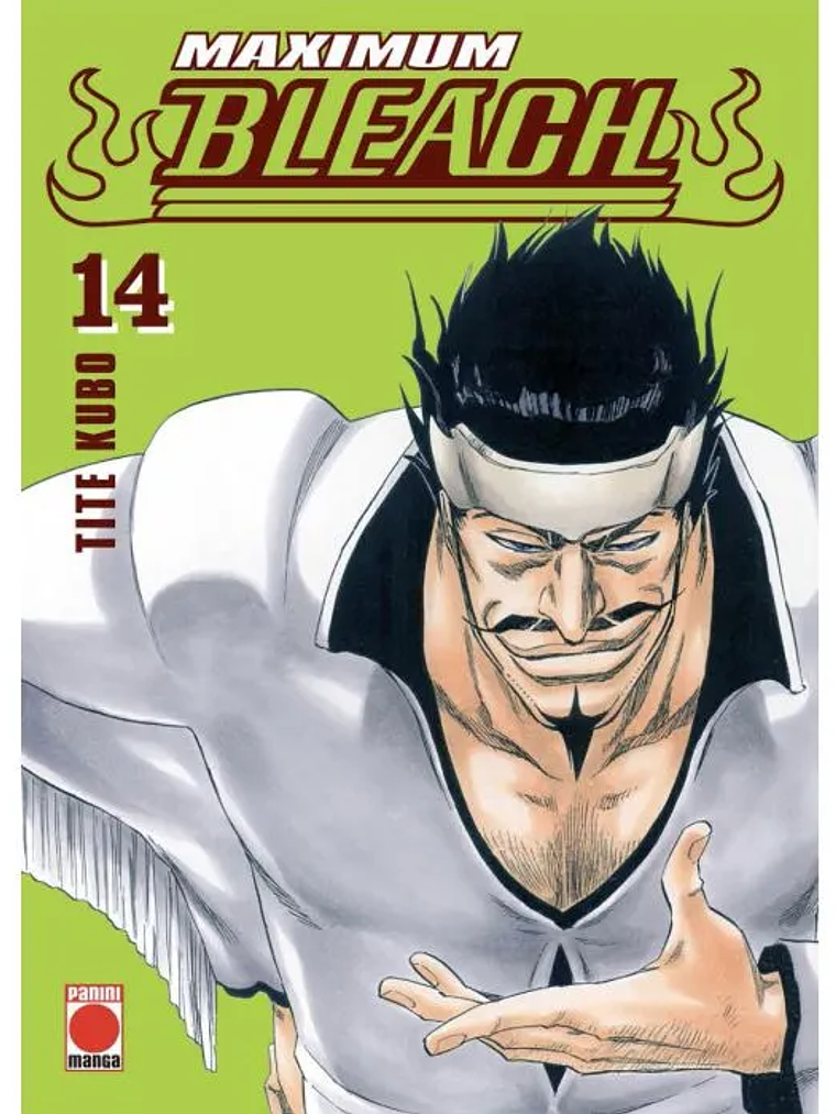 BLEACH MAXIMUM 14 - PANINI ESPANA 1