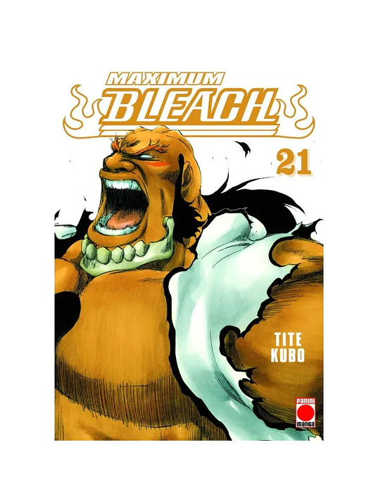 BLEACH MAXIMUM 21 - PANINI ESPANA 1