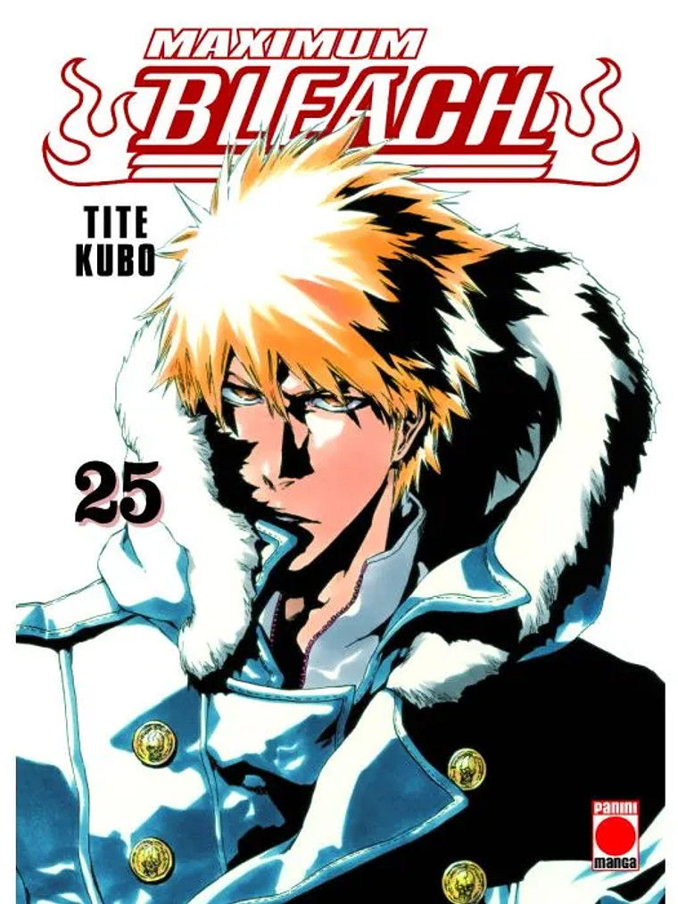 BLEACH MAXIMUM 25 - PANINI ESPANA 1