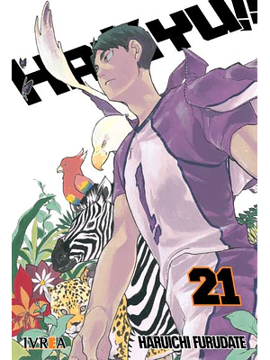 HAIKYU 21 - IVREA ARGENTINA