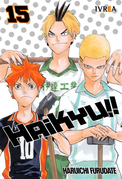 HAIKYU 15 - IVREA ARGENTINA