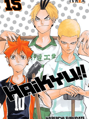 HAIKYU 15 - IVREA ARGENTINA