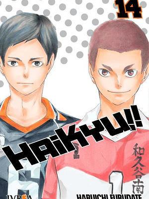HAIKYU 14 - IVREA ARGENTINA