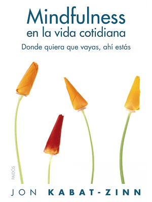 MINDFULNES EN LA VIDA COTIDIANA - PAIDOS