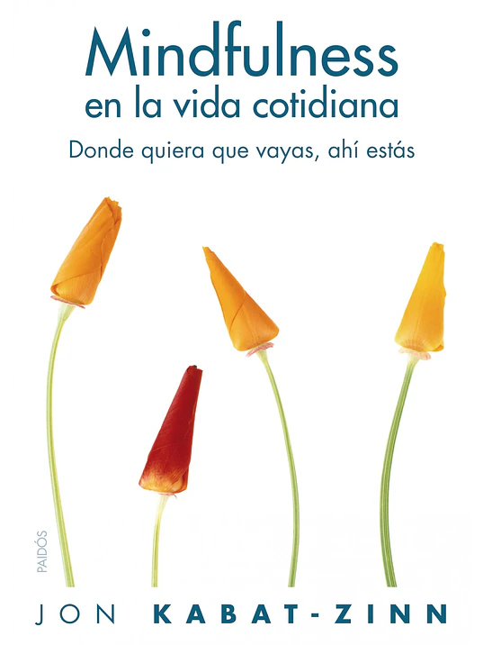 MINDFULNES EN LA VIDA COTIDIANA - PAIDOS 1