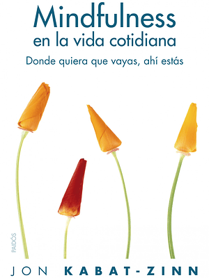 MINDFULNES EN LA VIDA COTIDIANA - PAIDOS