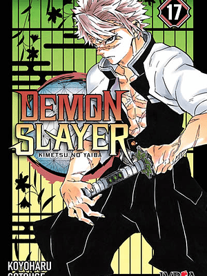 DEMON SLAYER 17 - IVREA ARGENTINA