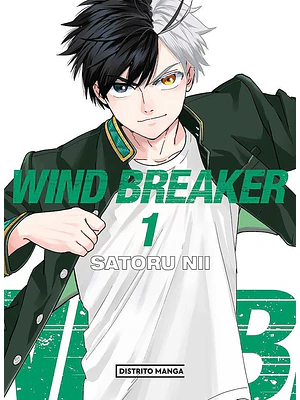 WIND BREAKER 01 - PANINI ARGENTINA