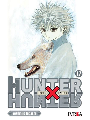 HUNTER X HUNTER 17 - IVREA ARGENTINA