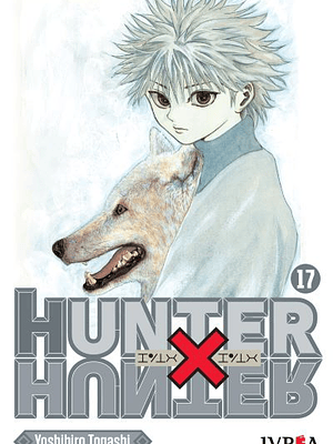 HUNTER X HUNTER 17 - IVREA ARGENTINA