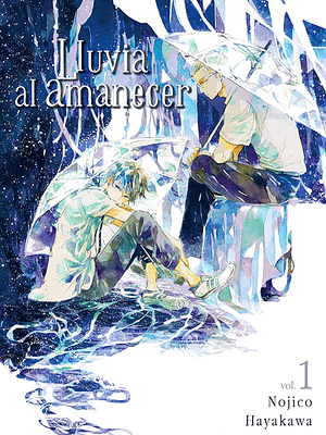 LLUVIA AL AMANECER 01 - MILKY WAY