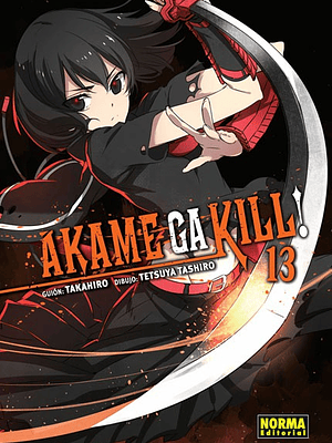 AKAME GA KILL 13 - NORMA