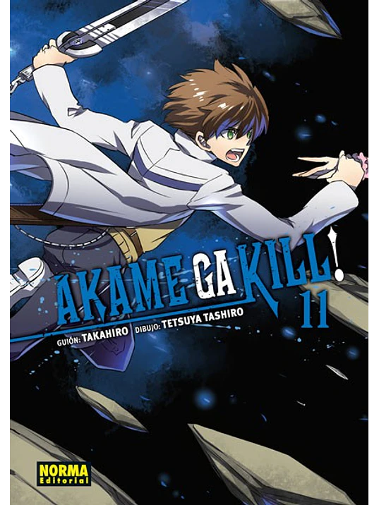 AKAME GA KILL 11 - NORMA 1