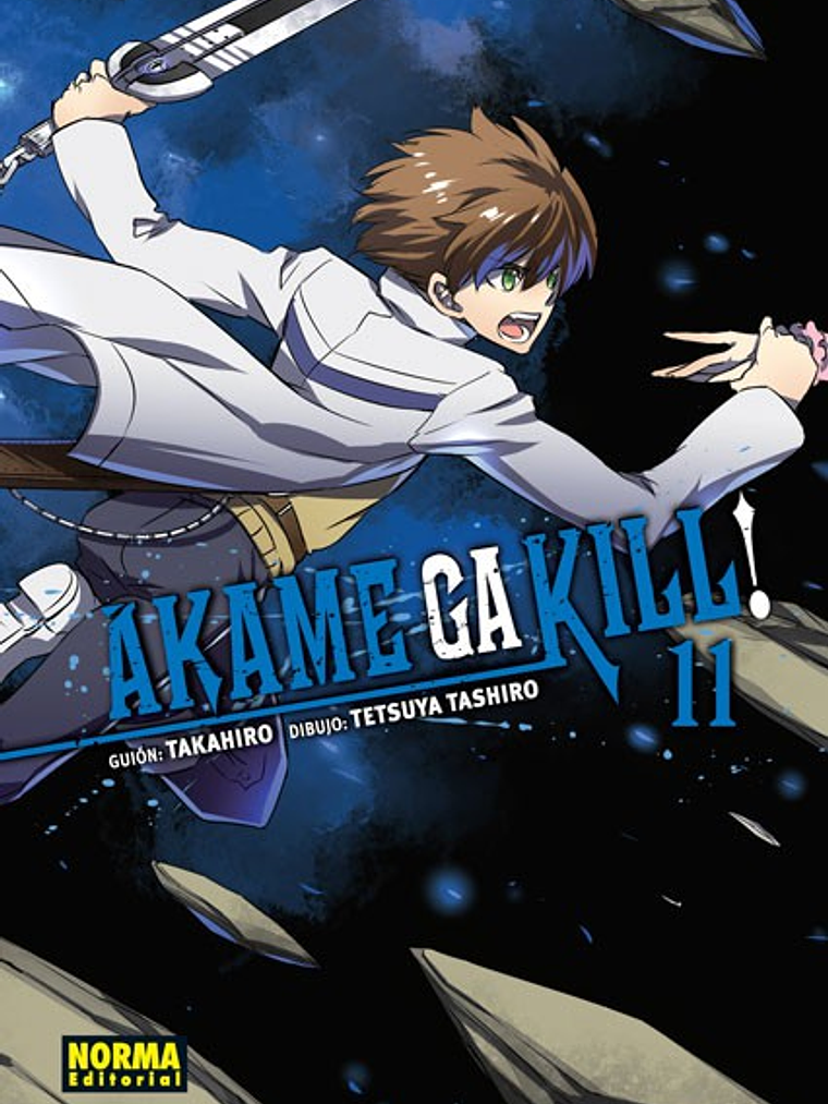 AKAME GA KILL 11 - NORMA 1