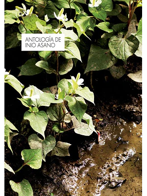 ANTOLOGIA DE INIO ASANO - NORMA