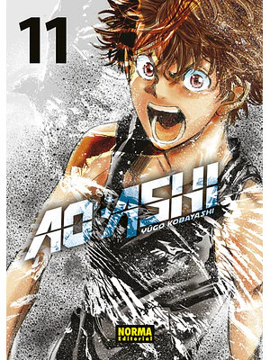 AO ASHI 11 - NORMA