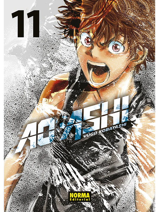 AO ASHI 11 - NORMA 1
